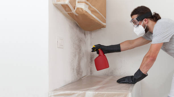 Professional Crawl Space Mold Removal technician working in Loveville, MD