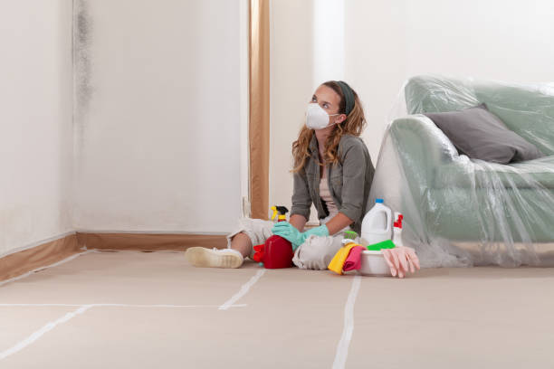 Reliable Crawl Space Mold Removal contractor in Loveville, MD by WQB Mold Removal